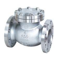 CI NRV Non Return Valve/Reflux Valve Flange End SS Working Parts (Sant)